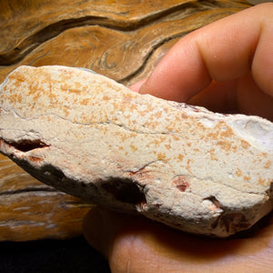 2075cts - HUGE Lightning Ridge Potch Opal Rough Piece 10c per ct