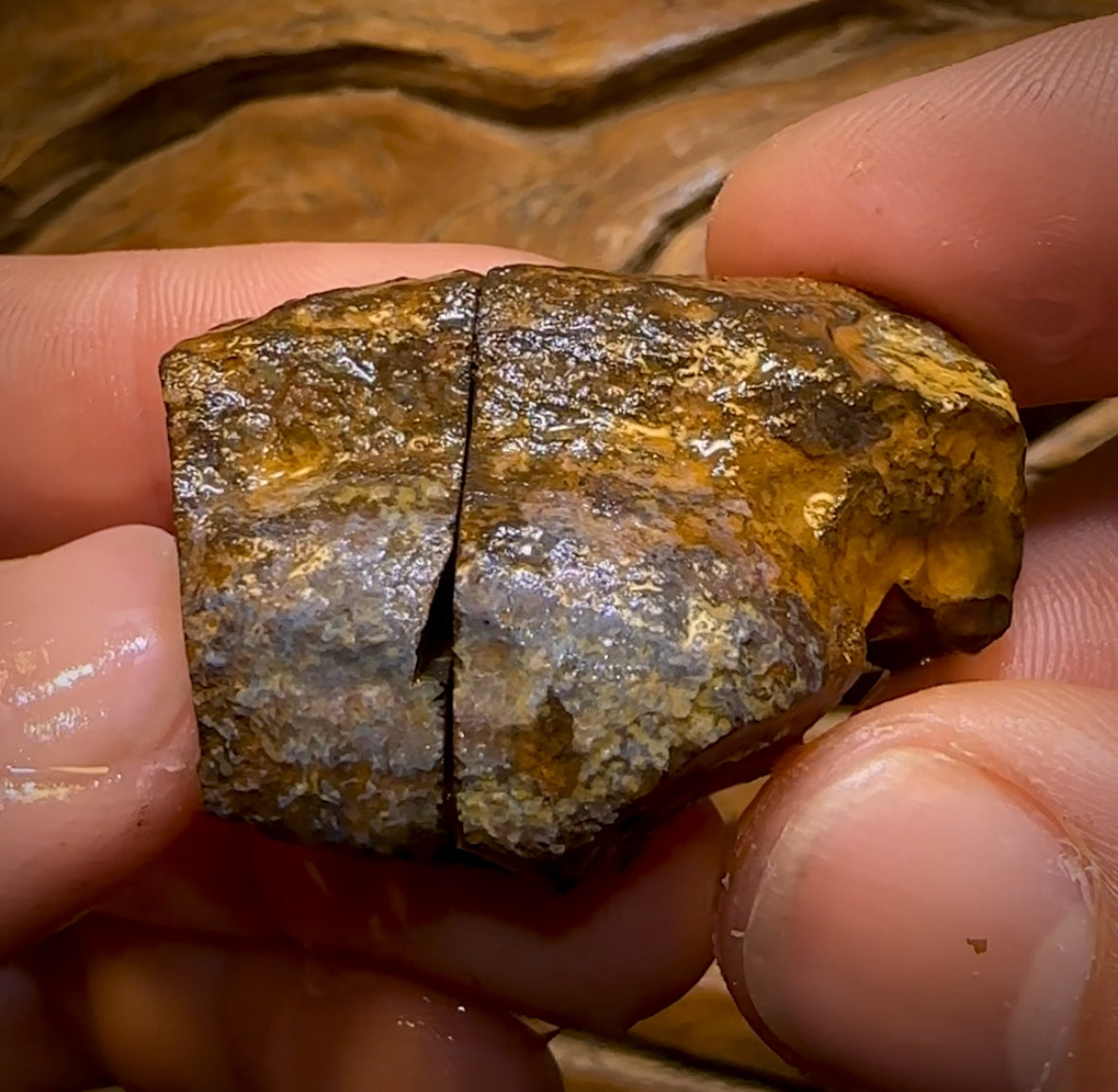 202.4cts - Big Yowah Nut Crystal Centre Rough Pair BARGAIN