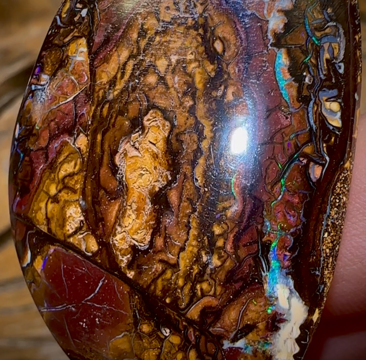 153.4cts - Large Tribal Queensland Boulder Opal from Koroit HALF PRICE