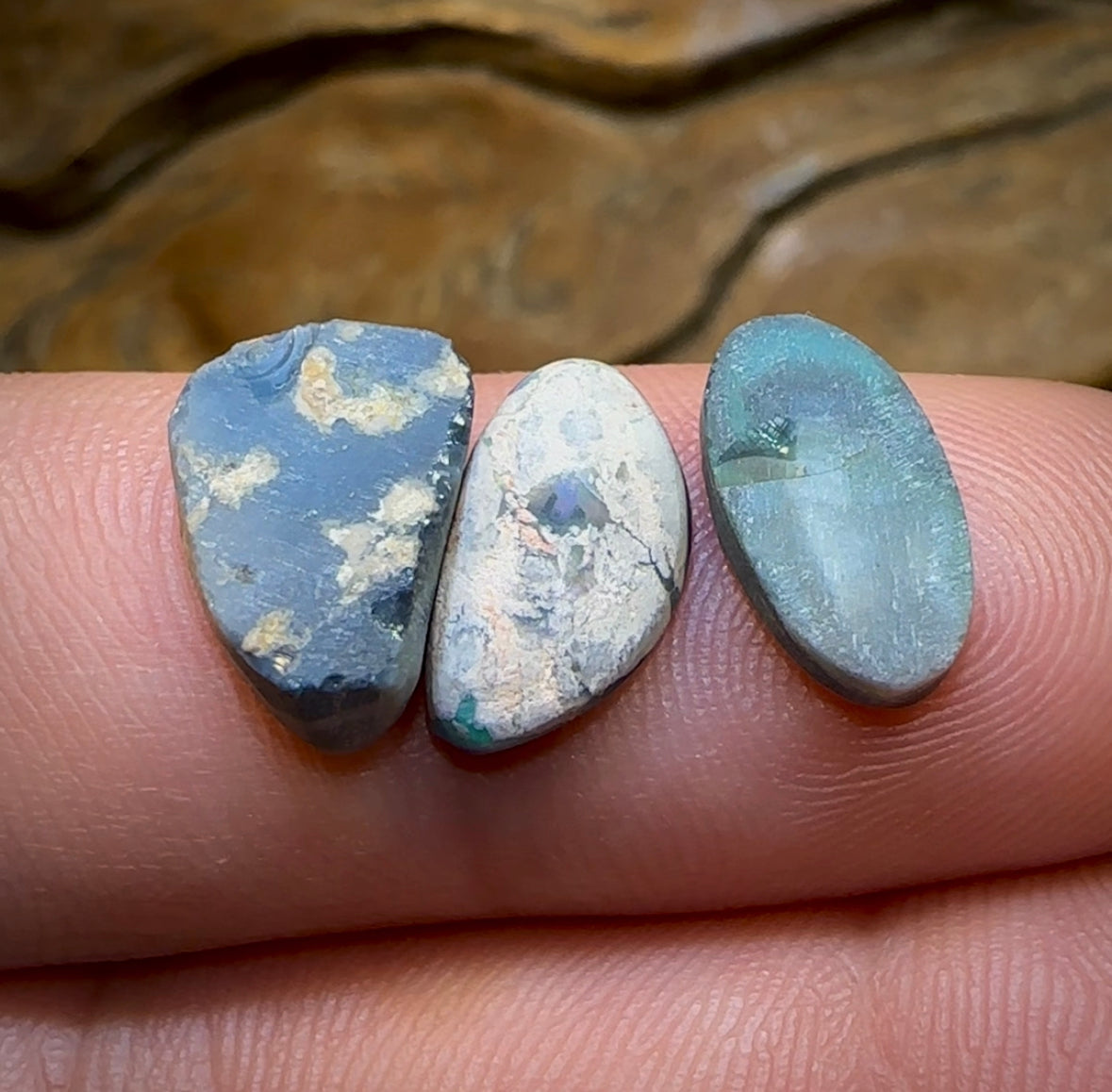 6cts - 3x Lightning Ridge Solid Black Opal Parcel. Half Price - Opal Whisperers