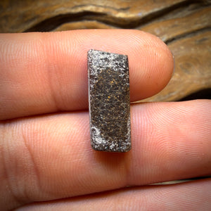 🔨 AUCTION 🔨 6.7cts - Queensland Boulder Seam Opal