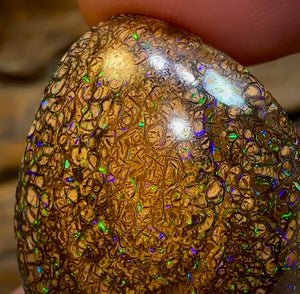 49.7cts - Australian Boulder Opal. Yowah Tribal