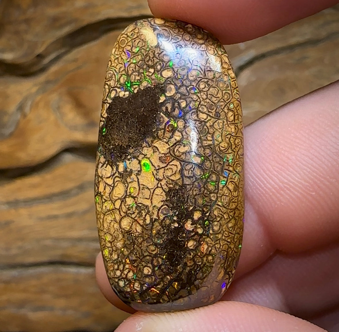 52.2cts - Yowah Nut Tribal. Australian Boulder Opal - Opal Whisperers