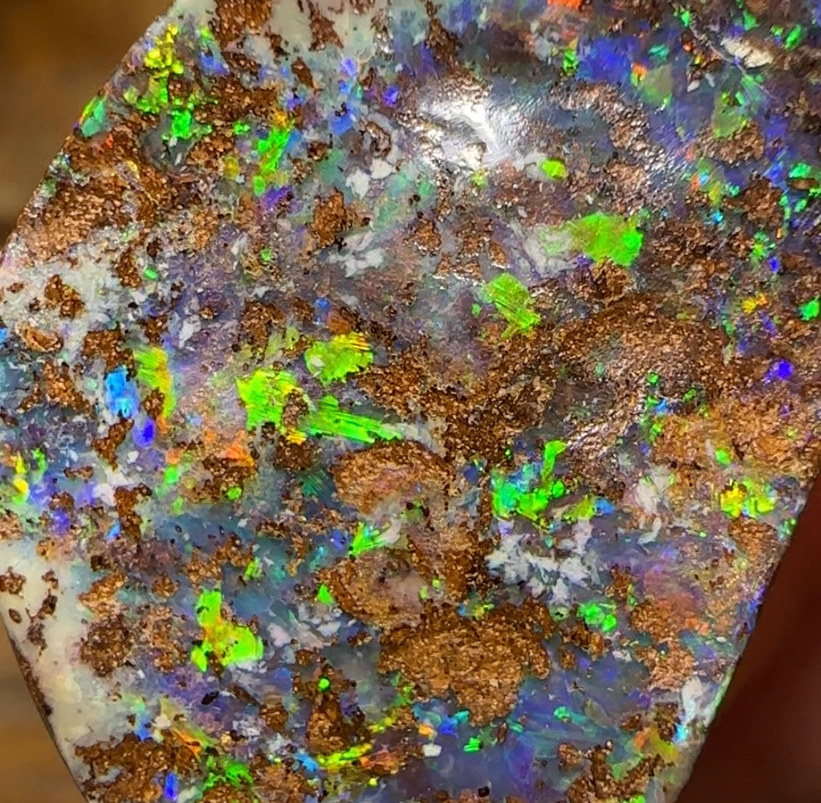30.2cts - Queensland Boulder Australian Opal. - Opal Whisperers