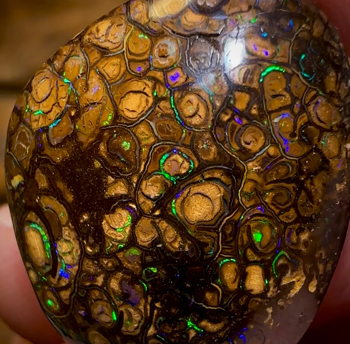 27.3cts - Queensland Boulder Opal. Top Pattern Yowah Tribal - Opal Whisperers