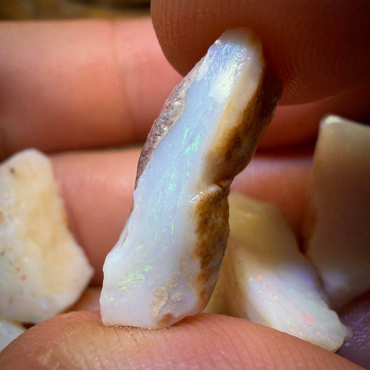 🔨 AUCTION 🔨 44.5cts - 5x South Australian White Opal Rough Parcel