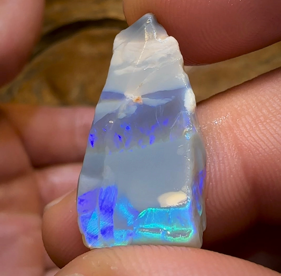 46.7cts - 5x Lightning Ridge Crystal and Dark Opal Rough Parcel - Opal Whisperers