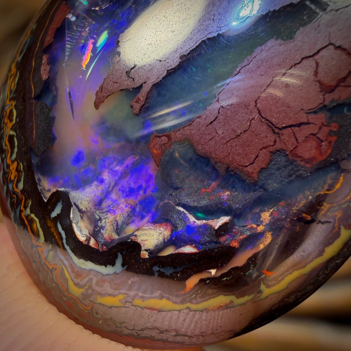 🔨 AUCTION 🔨 50.2cts - Yowah Nut Partial Crystal Centre Opal. Australian Boulder Opal