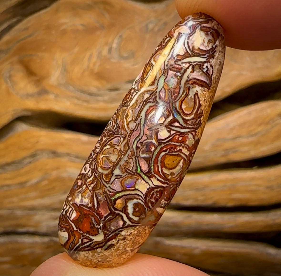 30.1cts - Highly Artistic Tribal Yowah Nut Opal. ‘Art of Opal’ Candidate
