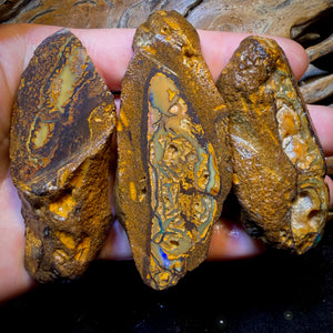 801cts - 3x Yowah Nut Crystal Centre Trio Rough Parcel. Australian Boulder Opal