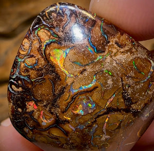 35.1cts - Queensland Boulder Opal - Opal Whisperers