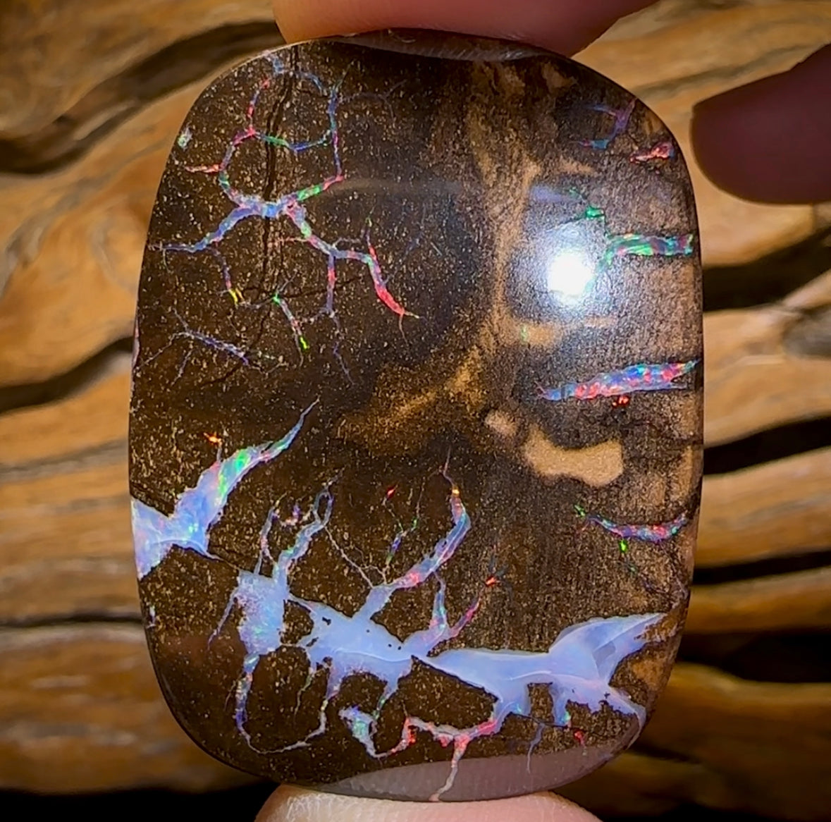 78cts - “Brolga Dance” Amazing Queensland Boulder Seam Opal Picture Stone
