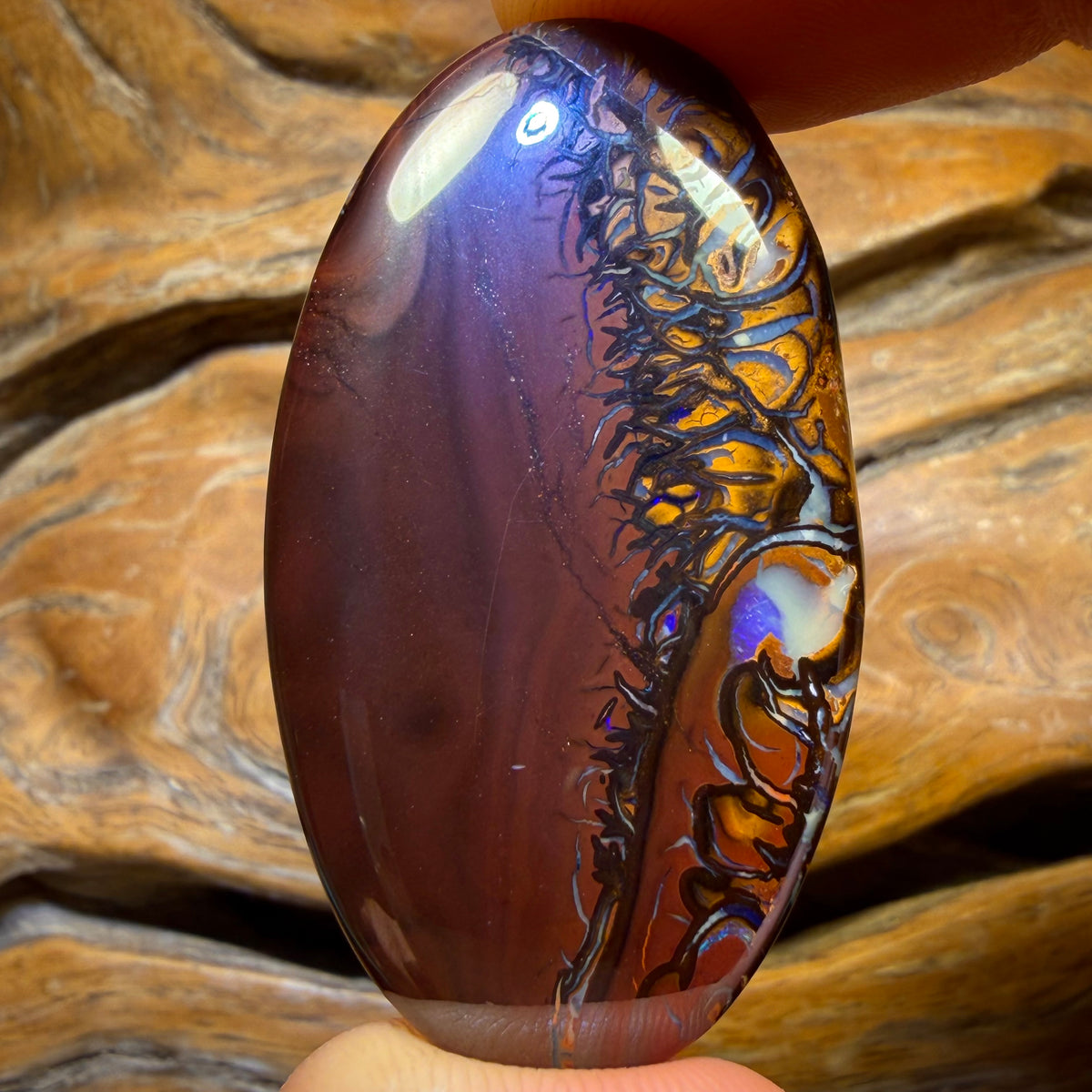 85.6cts - Tribal Queensland Boulder Opal from Yowah