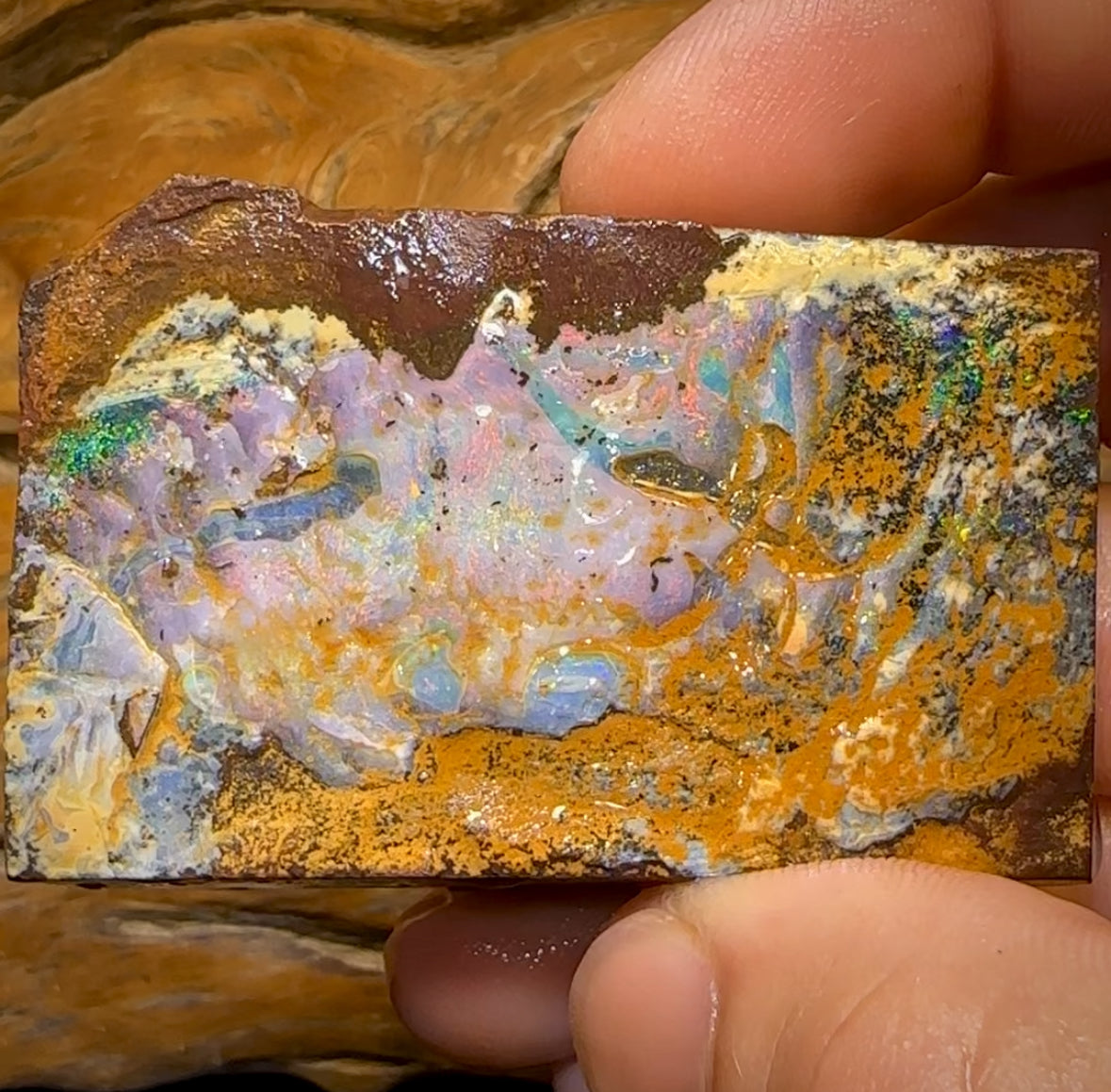 651.5cts - Queensland Boulder Seam Opal Rough Piece