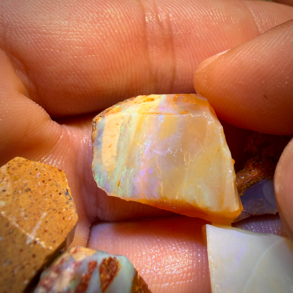 92.3cts - 6x Queensland Boulder Pipe Opal Rough Parcel