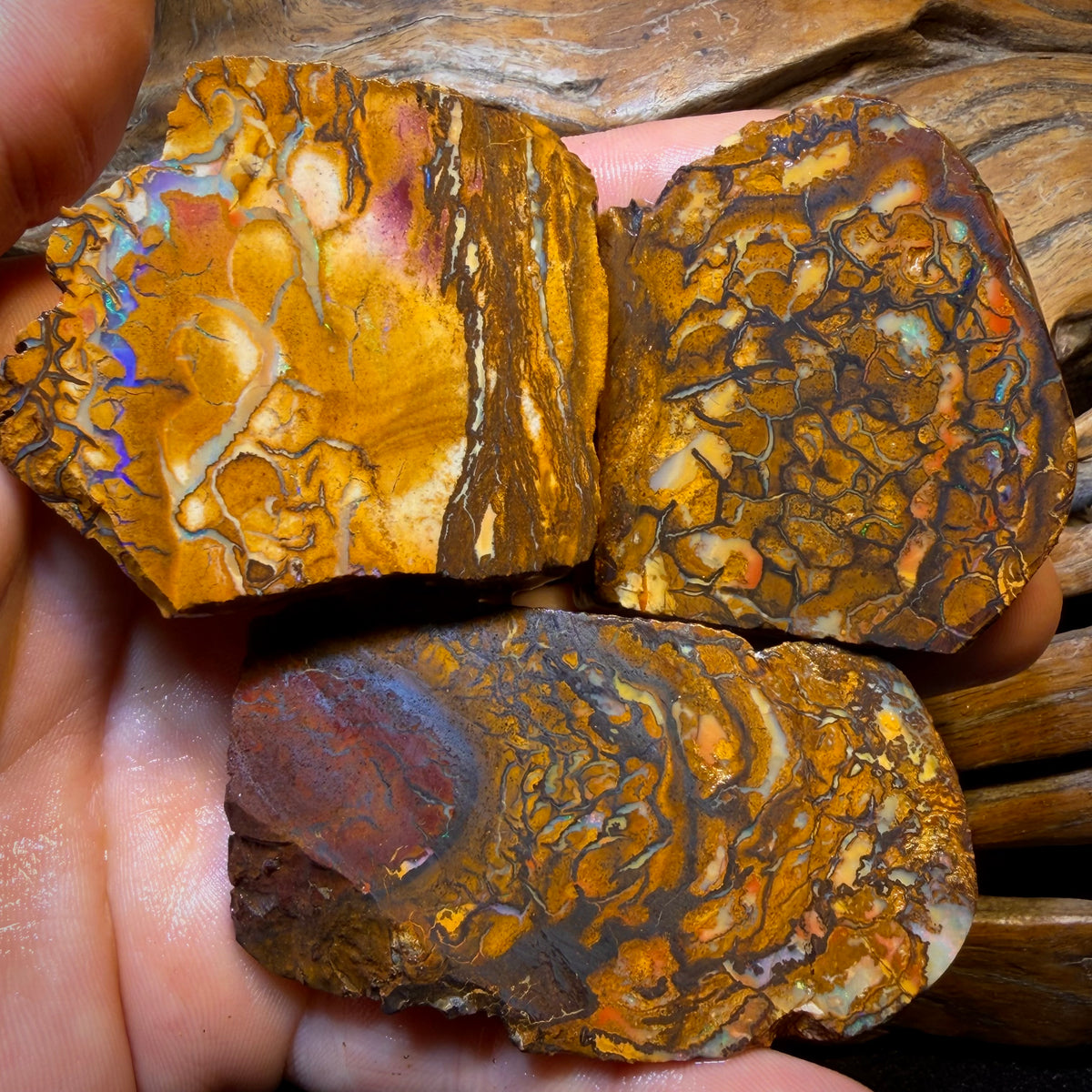 851.5cts - 3x Yowah Nut Tribal Opal Rough Parcel. Australian Boulder Opal