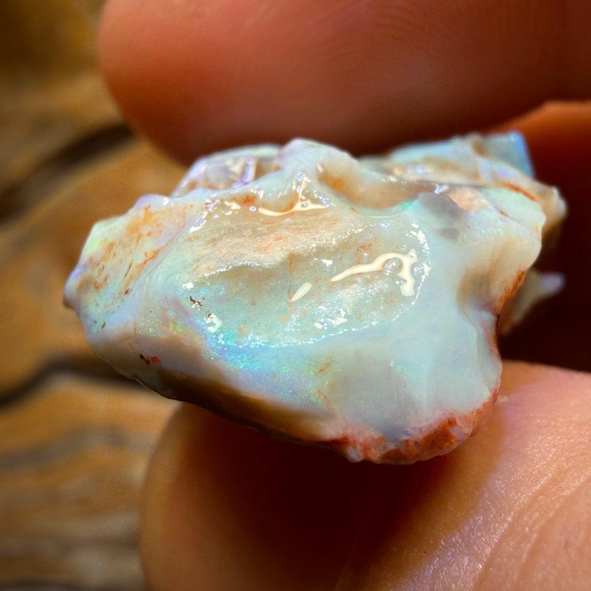 38.7cts - Lightning Ridge Dark Opal Rough Piece