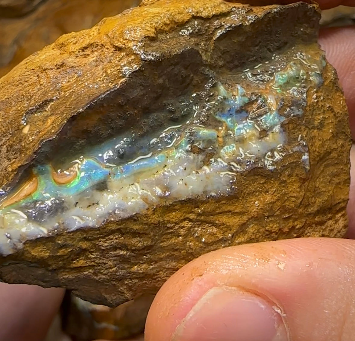 524g - Queensland Boulder Opal Rough - Opal Whisperers
