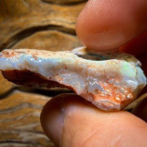 Wild Card! 69.9cts - Lightning Ridge Dark Opal Rough Piece