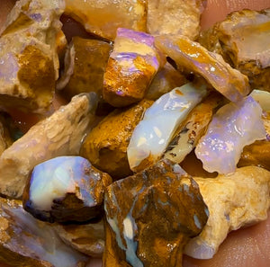 208.5cts - 25x Opalised Wood/Vegetation Fossil Rough Parcel from Yowah