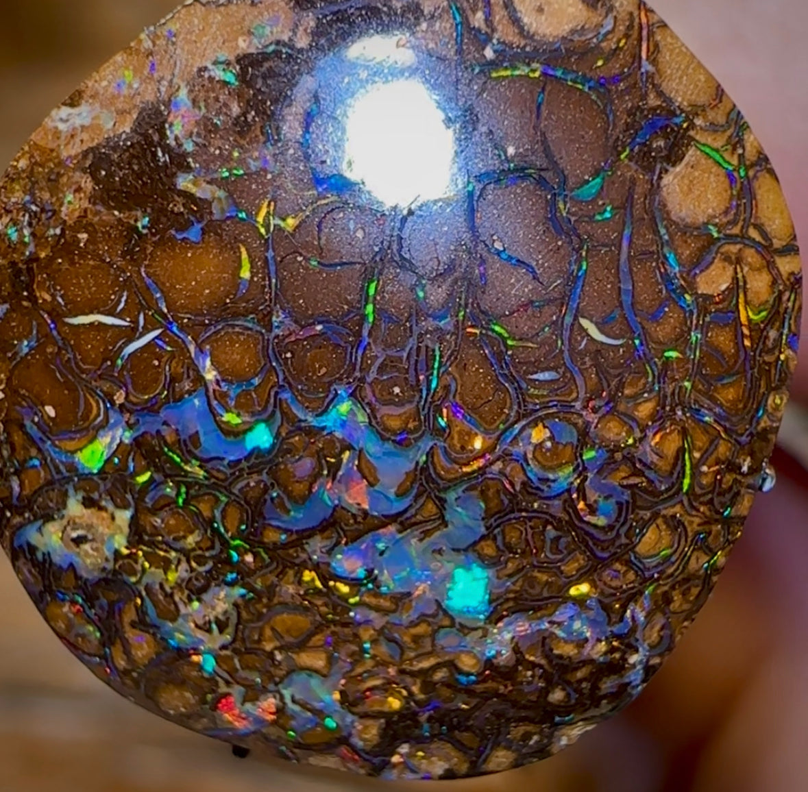 10.9cts - Queensland Boulder Opal. Yowah Tribal - Opal Whisperers