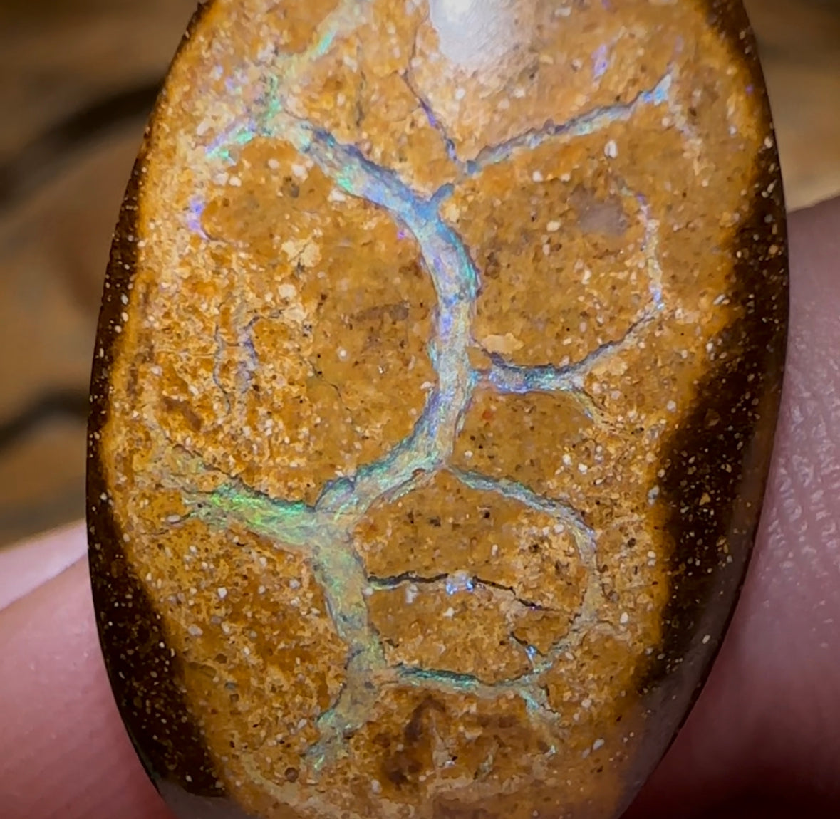 14.1cts - Queensland Boulder Opal. Yowah Nut - Opal Whisperers
