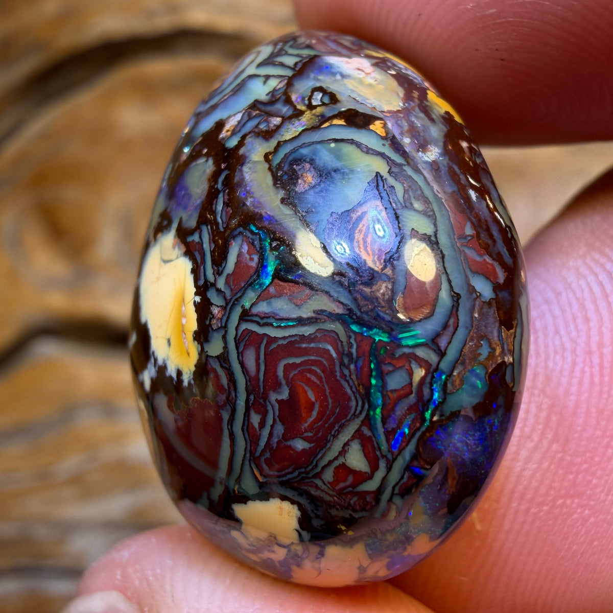 61.5cts - Tribal Queensland Boulder Opal from Yowah