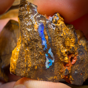 342cts - 3x Queensland Boulder-Opal-Rohmaterial-Paket von Duck Creek
