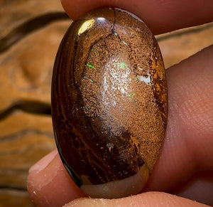 Auction Fall-Through = Your Gain! 🔥 Now More Than 50% Off RRP 🚨 24.8cts - Yowah Nut Tribal Opal