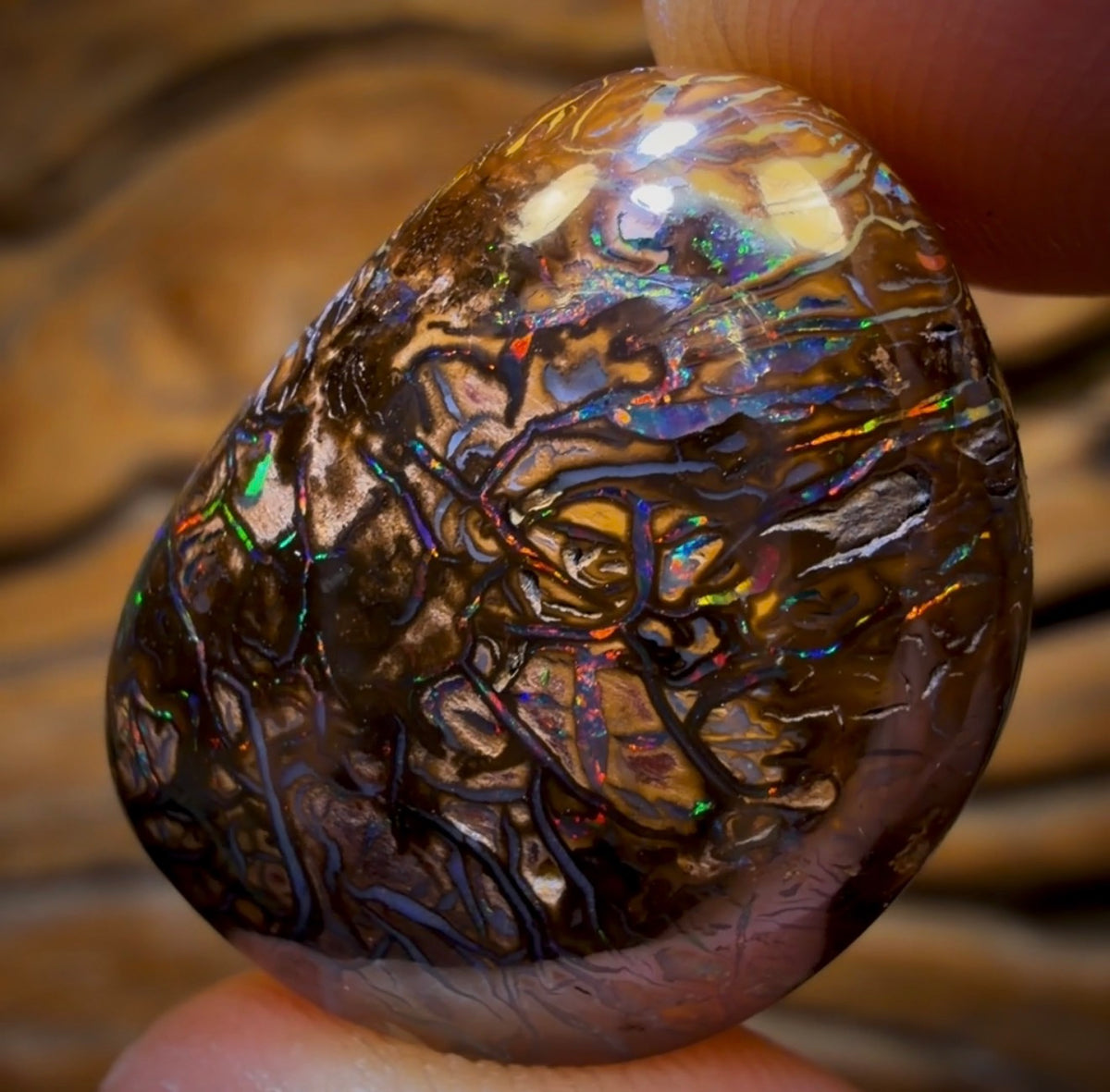 44.4cts - Tribal Australian Boulder Opal from Yowah. Multicolours!