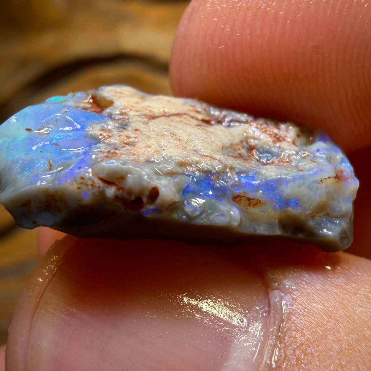 14.1cts - Lightning Ridge Dark Opal Rough Piece