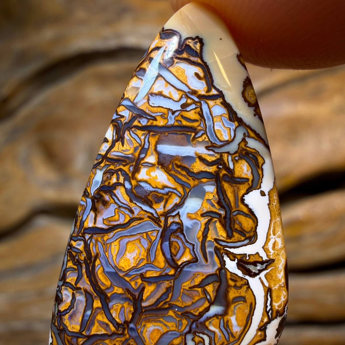 HDW 20.9cts - Rare Blonde/Porcelain Tribal Australian Boulder Opal from Yowah
