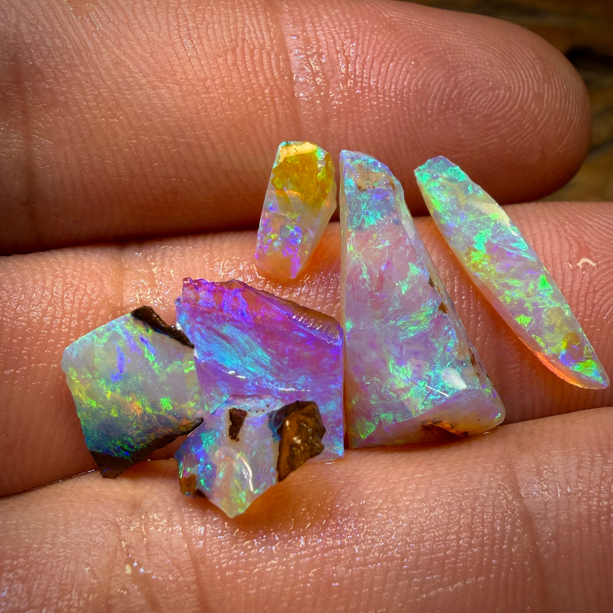 13.2cts - 6x Australian Yowah Wood Fossil Crystal Opal Rough Pieces. Highly Prized Material