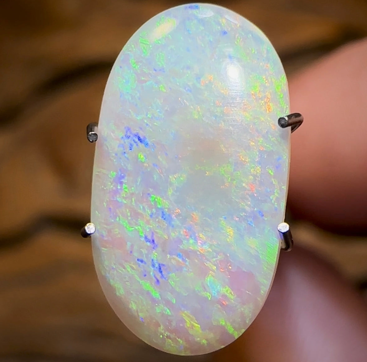 1.7cts - Lightning Ridge Crystal Opal - Opal Whisperers