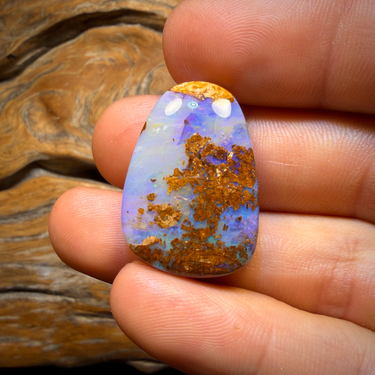 34.1cts - Wood Fossil Replacement Boulder Opal from Yowah
