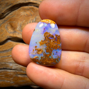 34.1cts - Wood Fossil Replacement Boulder Opal from Yowah