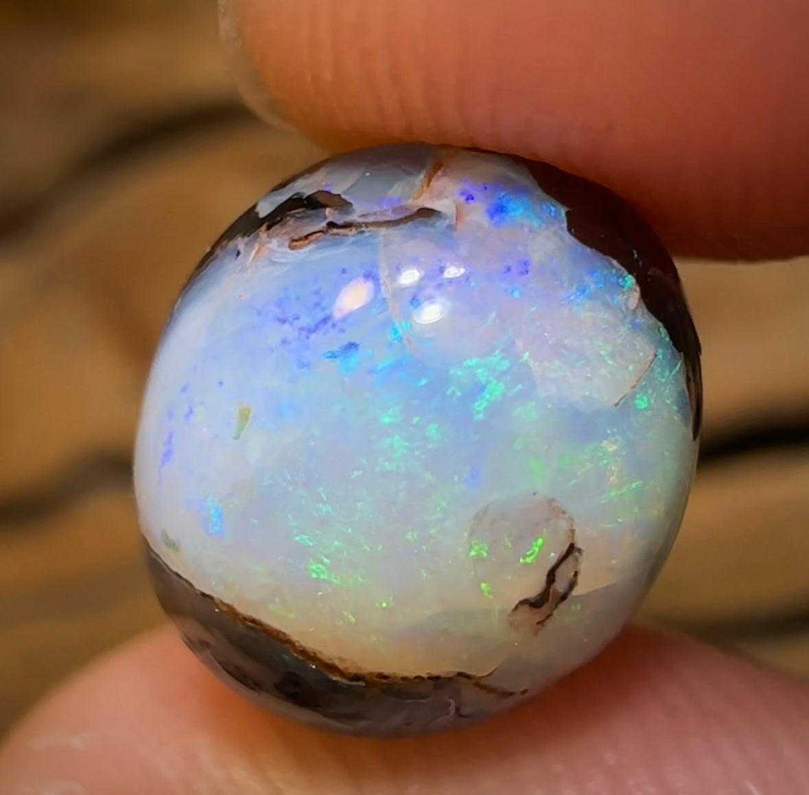 8.3cts - Yowah Nut Crystal Center Kernel Opal. Isaac “Magic Bean” Cut - Opal Whisperers