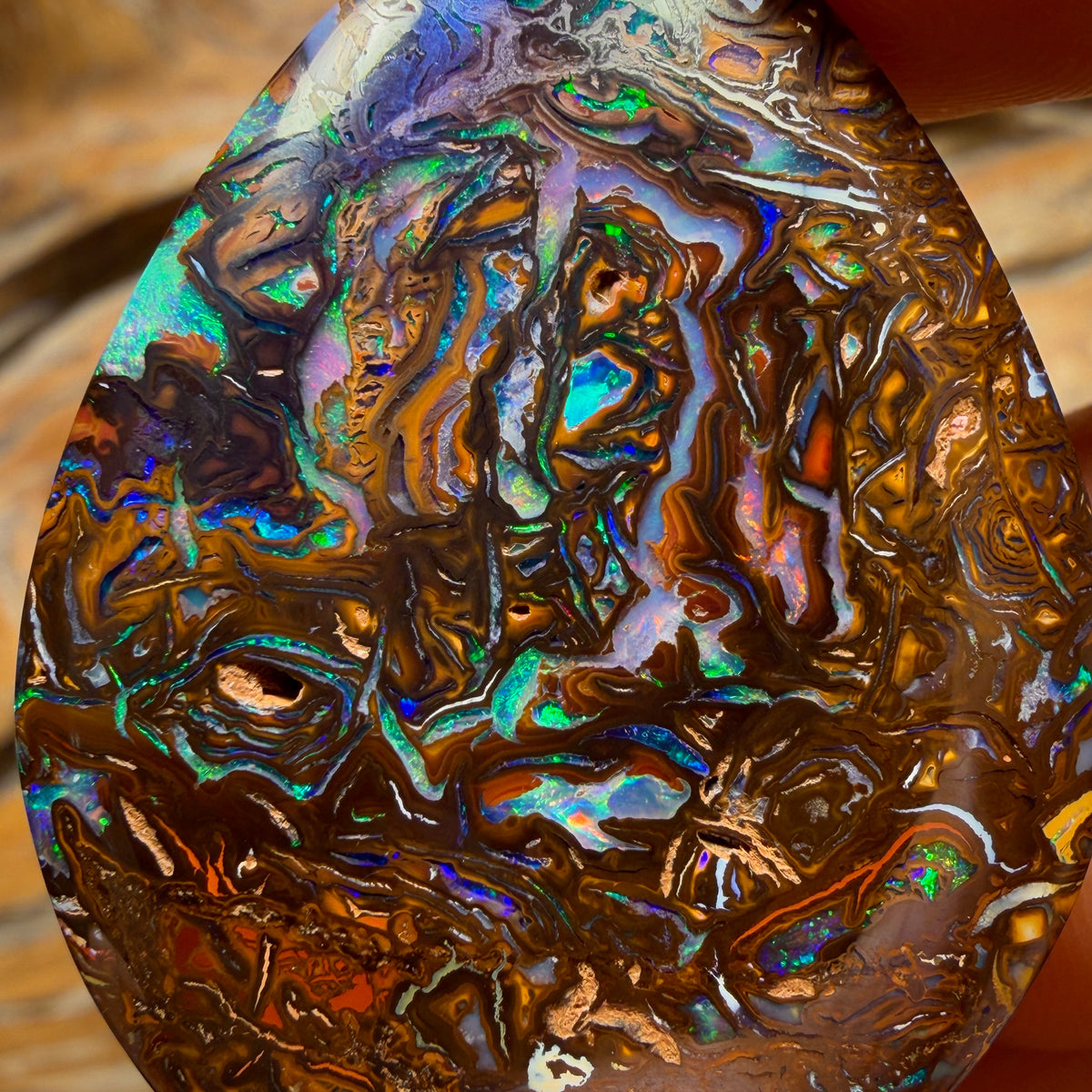 Bargain Banger Card of the Night! 79.8cts - “Art of Opal” Top Tribal Queensland Boulder Opal from Yowah. Electric Colour AND Double Sided!