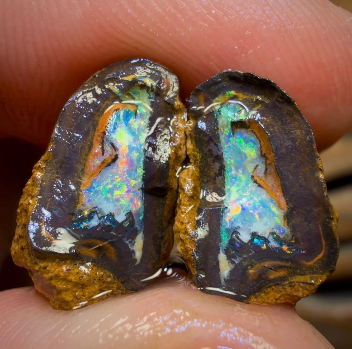 16.8cts - Yowah Jojo Nut Crystal Centre Rough Pair