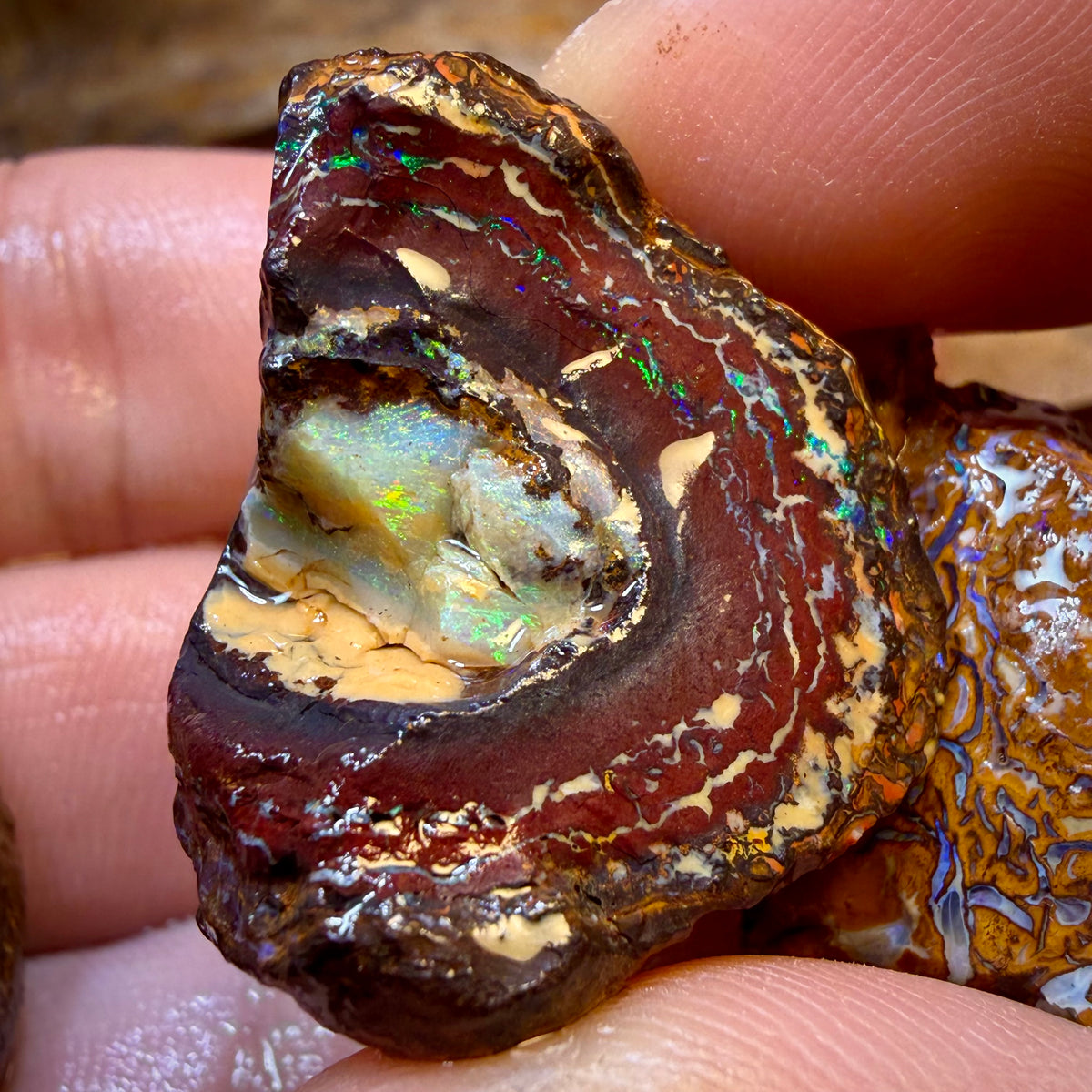 TGIF 158.9cts - 3x Yowah Nut Opal Rough Parcel. Australian Boulder Opal