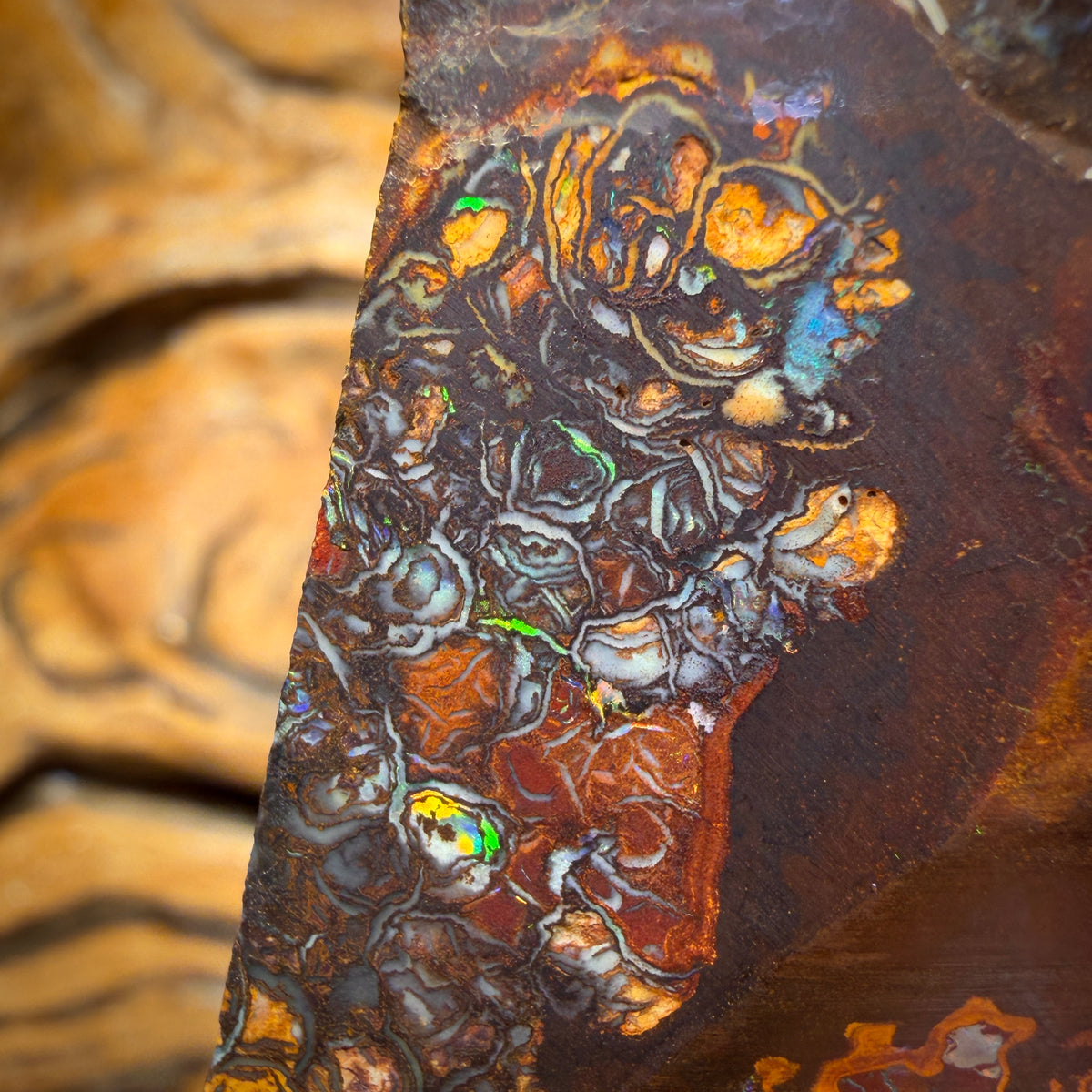 151.2cts - Stammes Yowah Nuss Opal Rohstück