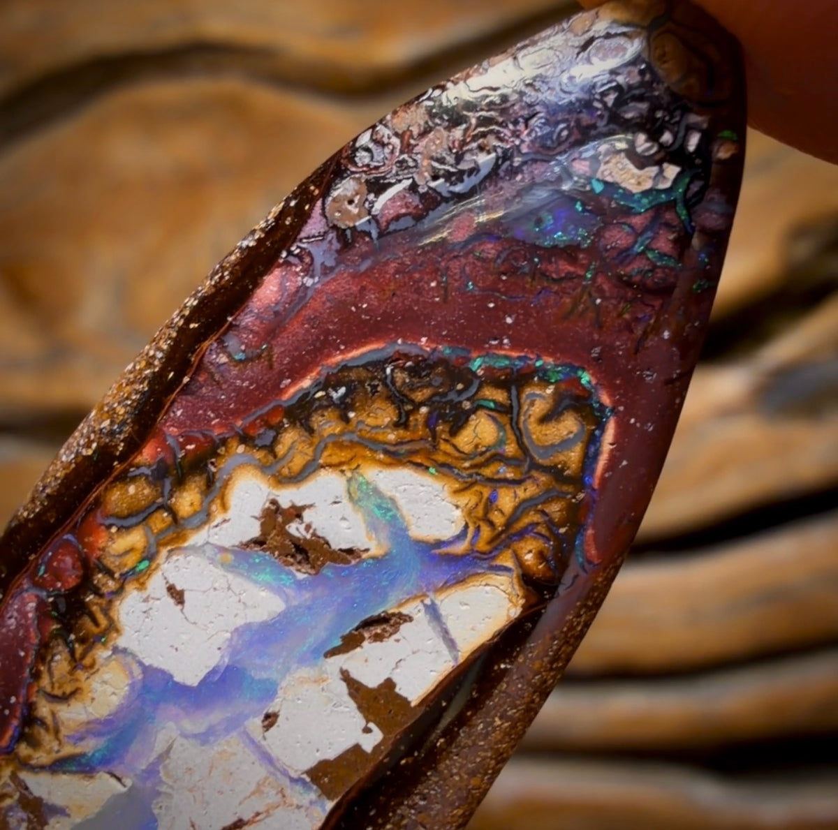 54.8cts - Yowah Nut Kernel Opal. Australian Boulder Opal