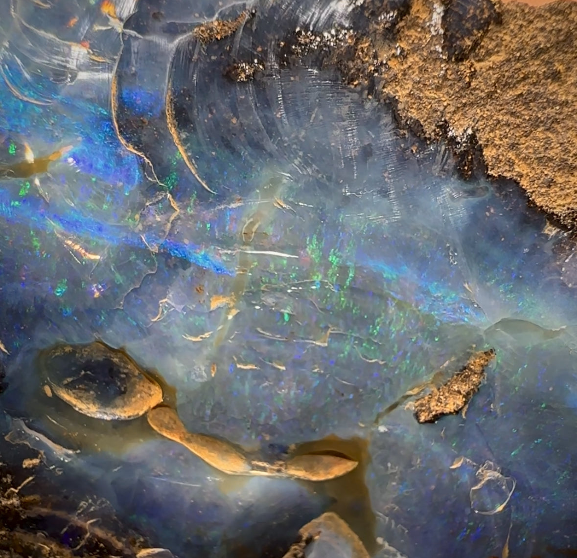 747.5g - Large Queensland Boulder Seam Opal Rough Specimen