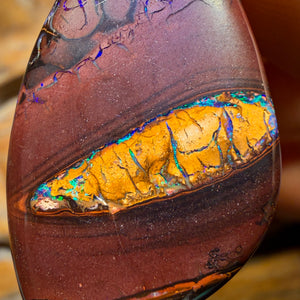 34 x 20mm - Drilled Tribal Queensland Boulder Opal Necklace