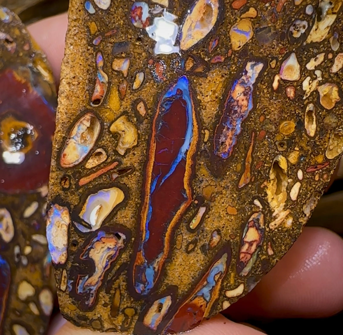 (Template) 112.7cts - Yowah Nut Conglomerate Rough Pair. Australian Boulder Opal - Opal Whisperers