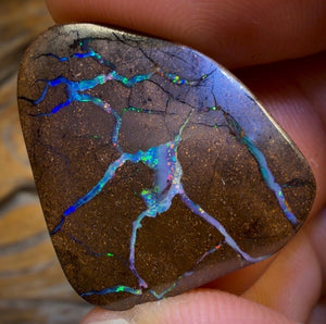 31.2cts - Queensland Boulder Seam Opal. Multicolours!