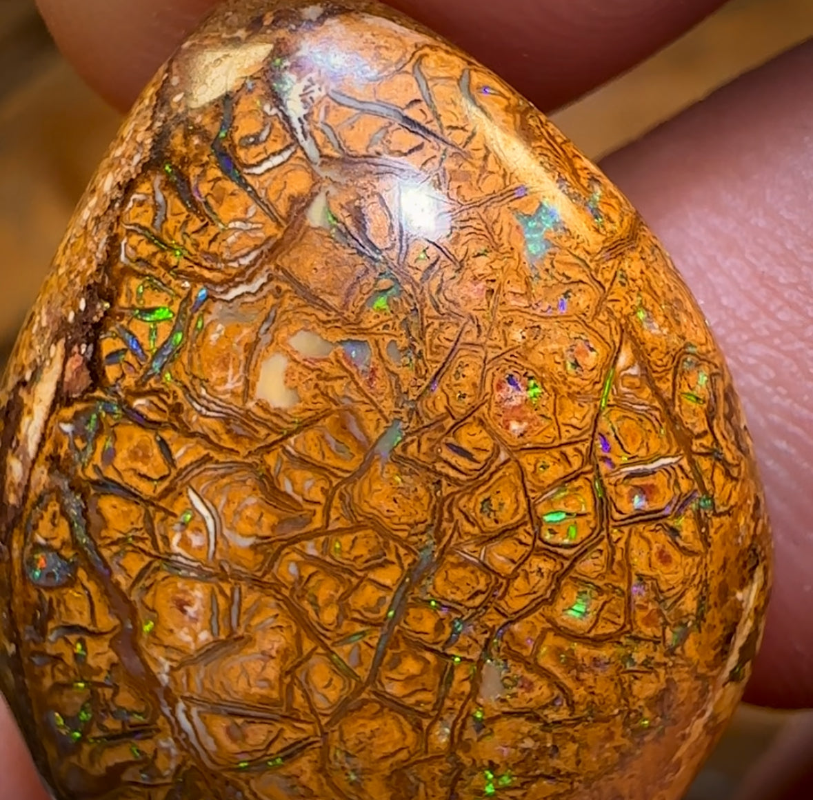 17.9cts - Tan Tribal Yowah Nut Opal. Australian Opal