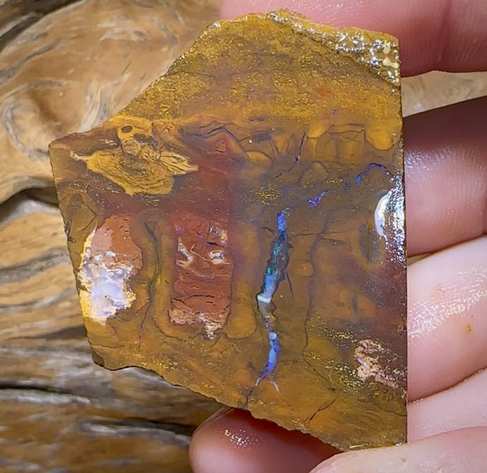 🔨 AUCTION 🔨 347cts - Block Slab of Queensland Boulder Opal Rough