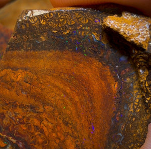 Wildcard! 169.2cts - Tribal Yowah Nut Opal Rough Pair. Australian Opal