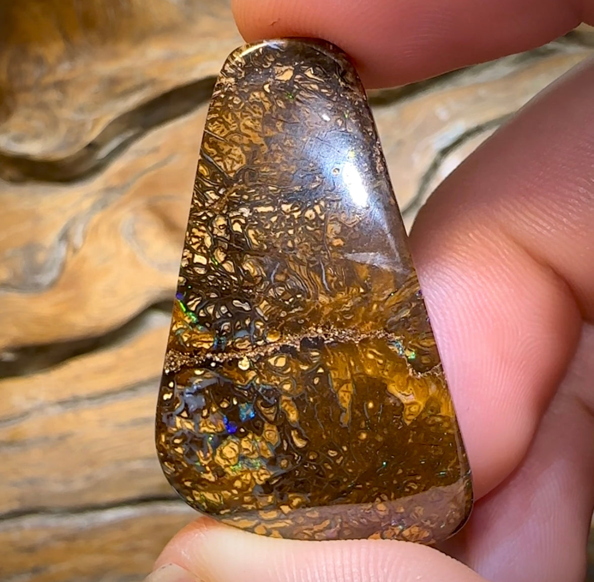 74.2cts - Black Tribal Yowah Nut Opal - Opal Whisperers